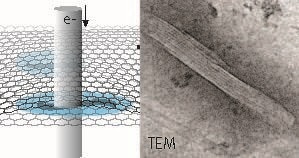 Cryo-Electron Microscopy Reveals Higher Radiation Tolerance of Proteins