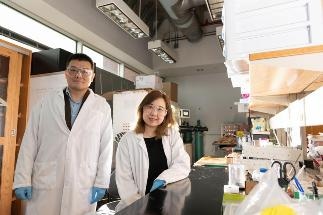 Study Reveals How the Formation of Nanoscale Crystal Structures are Controlled