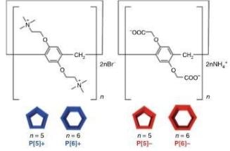 Self-Sorting Behavior of “Nanomats” Holds Potential Applications