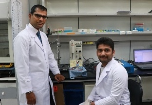 Novel Carbon Nanorod Catalysts Could Reduce Overall Cost of Clean Energy Fuel Cells