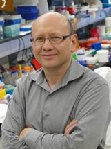 New Study Describes an Important Step in Activation of the Immune System Against Nanoparticles