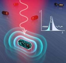 Rice University Researchers Argue that Photoluminescence Gives Gold Nanoparticles their Remarkable Light-Emitting Properties