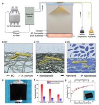 Researchers Create Functional Bulk Nanocomposites Through Direct Biosynthesis