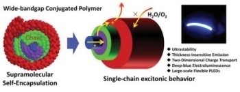 Insulated Molecular Wires: The Smallest Electric Power Cord