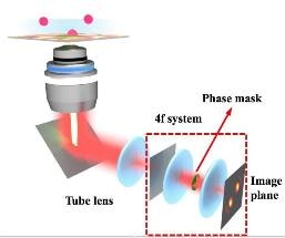 Researchers Develop New Technique that Transforms 2D Fluorescent Microscopy Images into 3D Movies