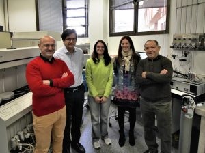 New Nanomedicines to Boost Efficiency of Prostate Cancer Treatment