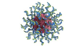Novel Approach May Help Optimize Digitally Designed Nanostructures as Therapeutic Vaccines to Treat Cancer