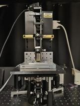 New Type of Microscope Offers Possibilities for Drug Discovery