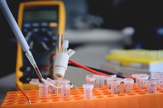 Researchers Develop New Method to Investigate the Behavior of Silver Nanoparticles in Natural Waters