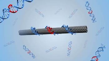 EPFL Scientists Use Directed Evolution to Build Synthetic Nanoparticles