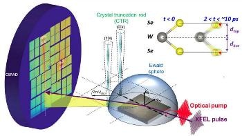 Ultrafast Surface X-Ray Scattering Reveals the Changing Structure of 2D Materials