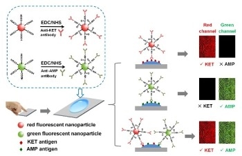 New Method Uses Nanocarrier-Based Biological Fluorescent Probes for Drug Detection