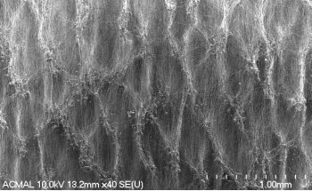 Electrospun Nanofibers for Wound Healing and Enhancing 3D-Matrices for Biological Tissues