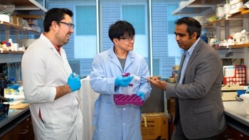 Nanovaccine Could Boost Immunity in Patients with Metabolic Syndrome