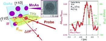 Electric Field Component of Terahertz Pulse Plays Key Role in Large Modulation of Ferromagnetic Materials