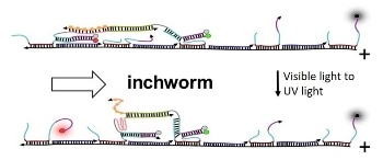 Motion Control at the Nanoscale