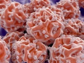 Scientists Use Near-Infrared Light and Injected DNA Nanodevice to Guide Stem Cells to a Wound