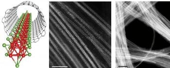 Researchers Use Carbon Nanotube Templates to Produce Isolated TMM Nanowires