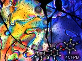 New Method Could Help Estimate the Amount of Negative Pressure Produced by Liquid Crystals in Nanopores
