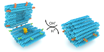 Nanostructures Made of DNA Pave Way Toward Functional Drug-Delivery Vehicles
