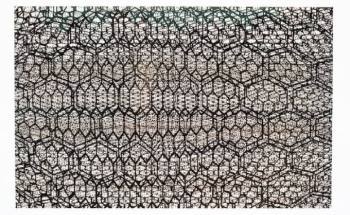 Artist Uses Rice Lab’s Laser-Induced Graphene to Electrify His Artwork