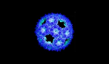 Study Reports a New Genetically Engineered Shell Based on Natural Structures
