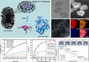 New Class of Single-Atom Nanozymes Shows Great Promise as the Next-Generation Nanozymes