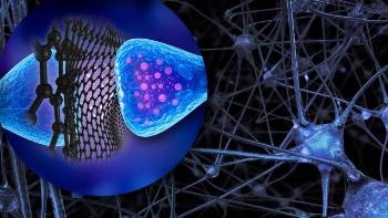 Graphene Flakes Might Influence Operation of Neurons in the Brain
