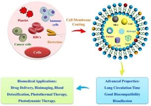 New Biomimetic Hybrid System Breaks Through the Traditional Concept of Nanocarrier