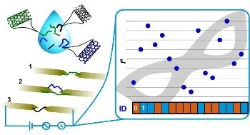 Fighting Counterfeit with Carbon Nanotubes