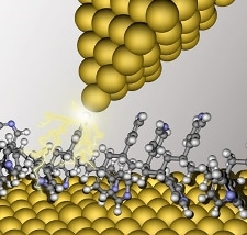 Polymers Could be Crucial for Development of Single-Molecule Electronic Devices