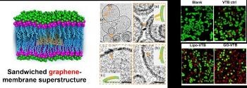 Evidence for Sandwiched Superstructure of Graphene Oxide Could Pave the Way for Membrane-Specific Drug Delivery