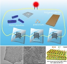 Researchers Develop 2D Polymers with Cylindrical Mesopores on Graphene Nanosheets for Micro-Supercapacitors