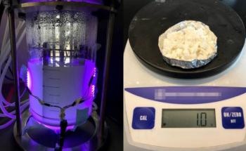 Nanobio-Hybrid Organisms Use Carbon Dioxide and Nitrogen to Produce Plastics and Fuels