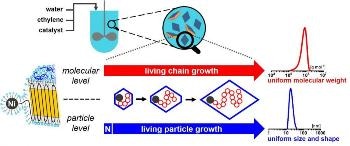 New Aqueous Polymerization Procedure Generates Polymer Nanoparticles with Single Chain and Uniform Shape