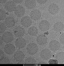 Sensory Nanoparticle-Based Test for Early Detection of Cancer