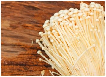 Flexible and Stain-Resistant Optical Plastics Based on Nano-Enoki Mushrooms