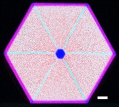 Semiconductor Nanowires can be Tuned Over Wide Energy Ranges