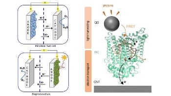 Bioelectricity Generation Enhanced by Using Various Nanomaterials