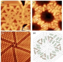 Organic Porous Structures on 2D Defect Networks