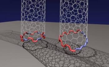 Unique “Janus” Interface is a Standard Mechanism in the Growth of Carbon Nanotubes