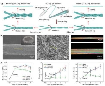New Design Strategy to Make Nanocellulose-Based Macrofibers