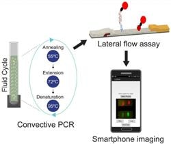 Quantum Dots and Smartphone can be Used to Detect Deadly Bacteria