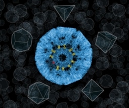 New Approach to Construct Gold-Bonded Nanocages