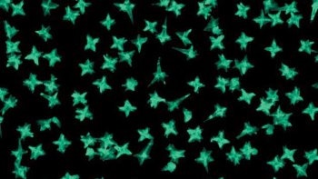 Gold Nanoparticles as Promising Drug-Delivery System to Target Cancer Biomarkers