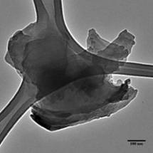 Chemists Develop New Protocol to Enhance 2D Material with Carbon Chains