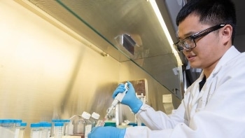 Nanoscale Silica Bottles Show Promise for Targeted Drug Delivery