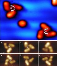 Multi-Component Molecular Propeller Designed to Operate on Solid Surfaces