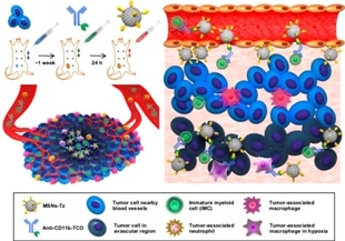 Novel Strategy Enables Deep Tumor Penetration of Drug-Loaded Nanoparticles