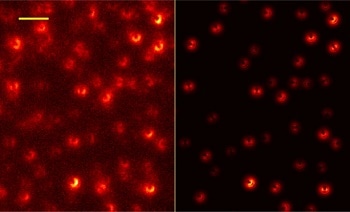 Super-resolution Microscopy Enabled by Graphene Layer